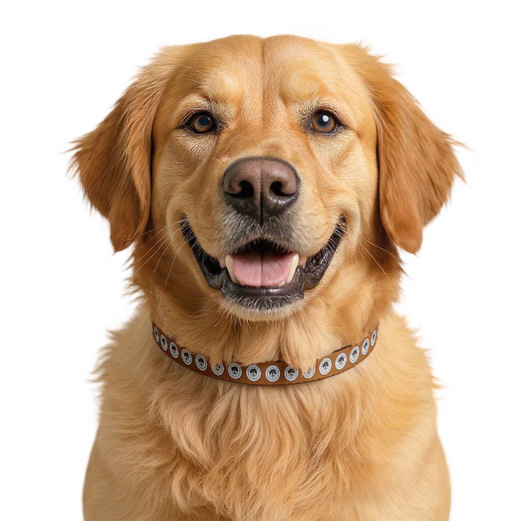 Clip-on Pet Collar — Retro Camera Lens Pattern Dog Collar