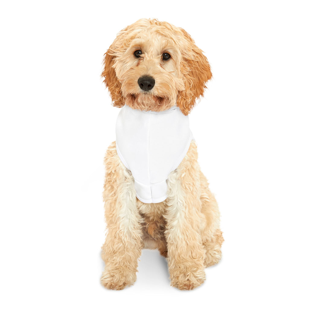 Pet Hoodie — "Regulation Is The Foundation" Labrador Somatic Method Dog Hoodie