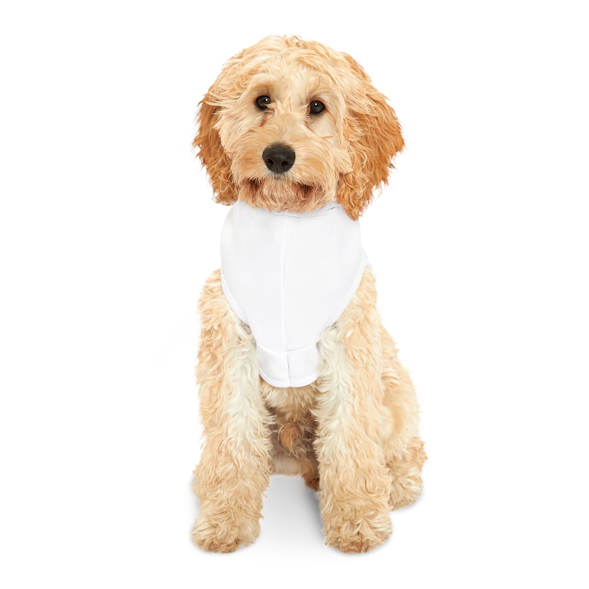 Pet Hoodie — "Regulation Is The Foundation" Labrador Somatic Method Dog Hoodie