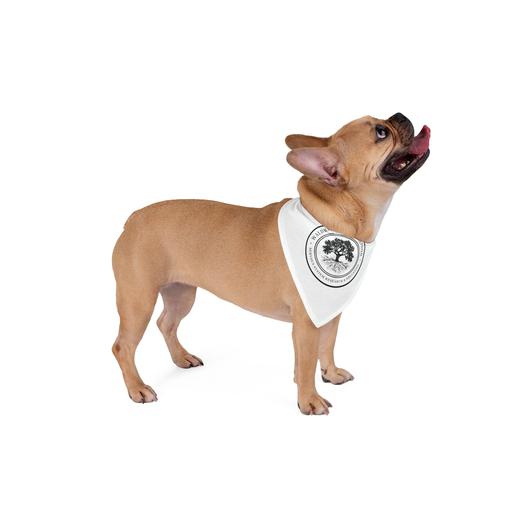 Pet Bandana — Round Tree Logo Dog & Cat Bandana, Minimal Natural Vibe