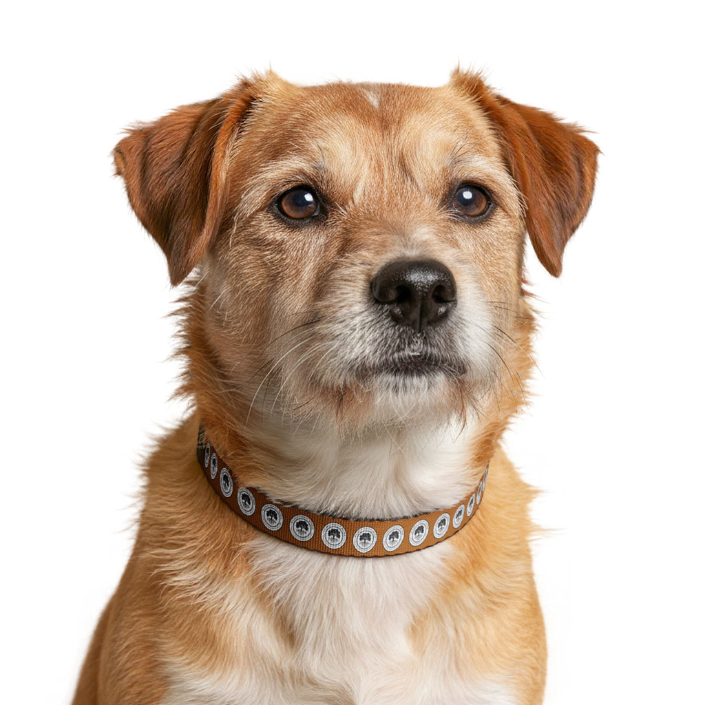 Clip-on Pet Collar — Retro Camera Lens Pattern Dog Collar